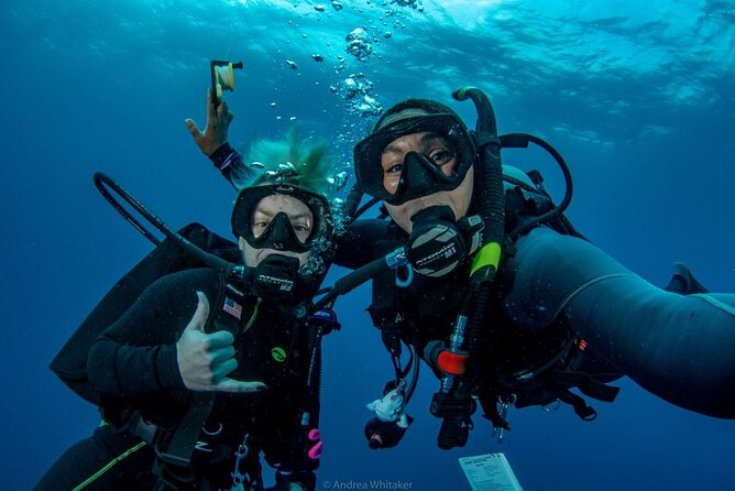 Private 2-Tank Dive with PADI Instructor for Certified Divers - What the first boat ride sets up