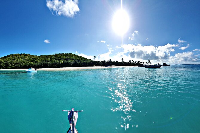 Private All-Inclusive 22ft Boat Guided Snorkeling Icacos Palomino - Is $550 a fair price for six people?