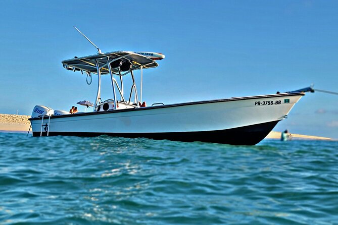 Private All-Inclusive 22ft Boat Guided Snorkeling Icacos Palomino - Who should book this Fajardo boat tour?