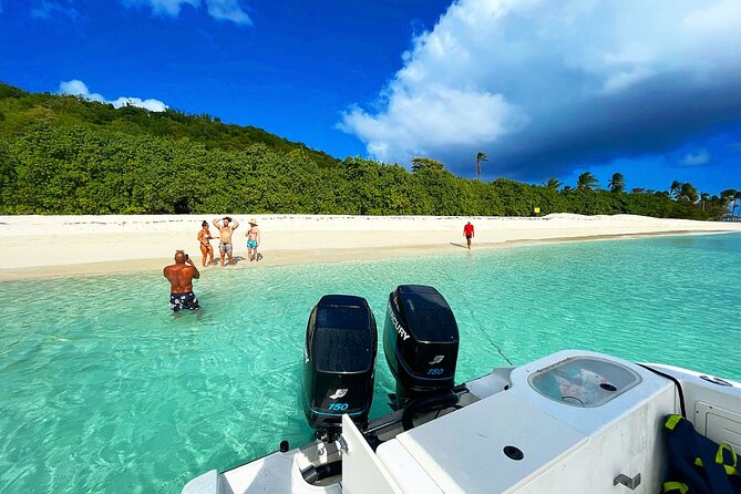 Private All Inclusive East Coast Keys Tour and Snorkel Experience - Palominos: turtle watching without getting in the water