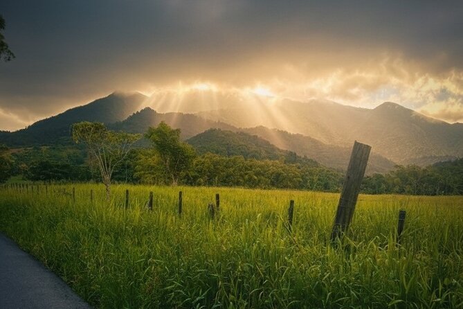 Private El Yunque Half-Day Tour with Transport - Guides who shape the day