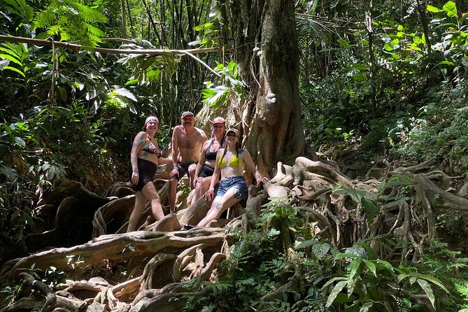 Private El Yunque Rainforest Day Tour with Transport - The muddy 1.5-mile walk through El Yunque