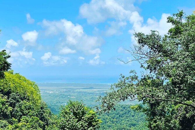 Private El Yunque Tour To Hidden Waterfall Remote Area - Who Will Get the Most From This Outing