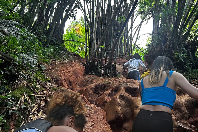 Private El Yunque Tour to Waterslide and Waterfalls - Natural waterslides are the main thrill