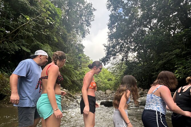 Private El Yunque Tour to Waterslide and Waterfalls - The 16-minute mountain ride sets up the adventure