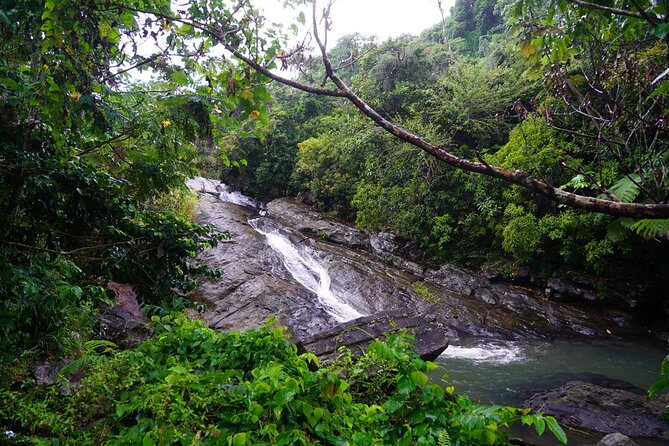 Private El Yunque Waterslides and Luquillo Beach Tour - What one hour at the rainforest really means