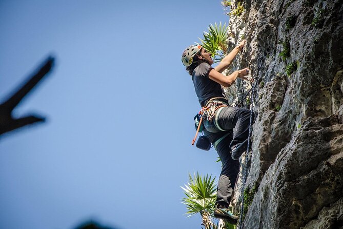 Private Guided Rock Climbing Trips in Puerto Rico - Choosing this over an indoor climbing wall