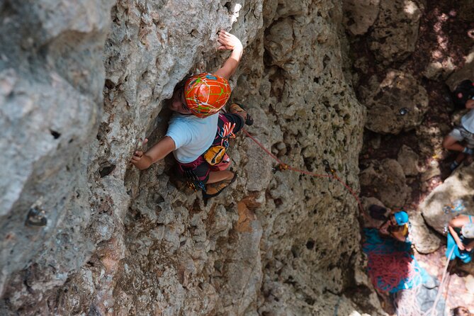 Private Guided Rock Climbing Trips in Puerto Rico - Weather, timing, and the small details that matter