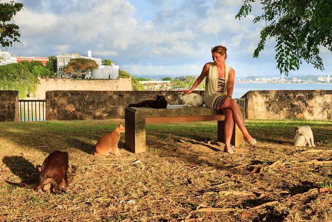 Private Old San Juan Walking Tour - What the $355.25 price really buys