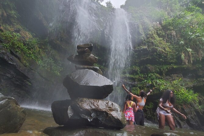 Private Rainforest Waterfalls and Beach Hiking Tour from San Juan - Who will enjoy this private outing most