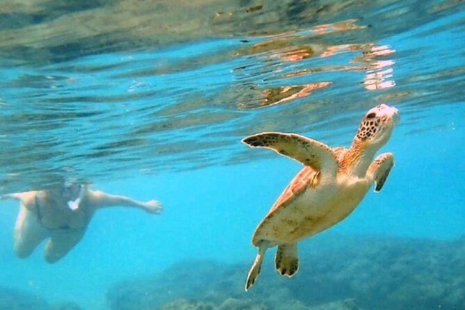 Private Rincon Snorkeling Adventure - Why a private morning on Tres Palmas makes sense