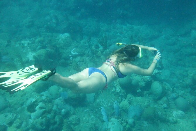 Private Rincon Snorkeling Adventure - How the private format changes the experience