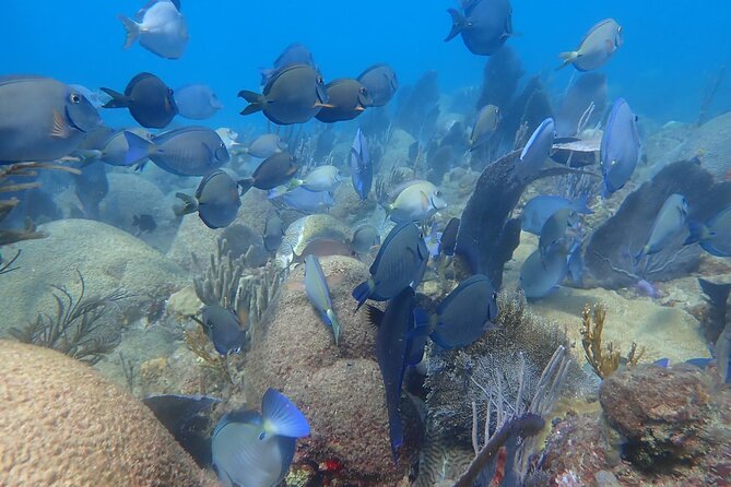 Private Rincon Snorkeling Adventure - A realistic look at the three-hour schedule
