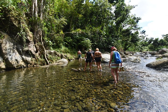 Private Tour of El Yunque Rainforest from San Juan - The drive from San Juan to El Yunque