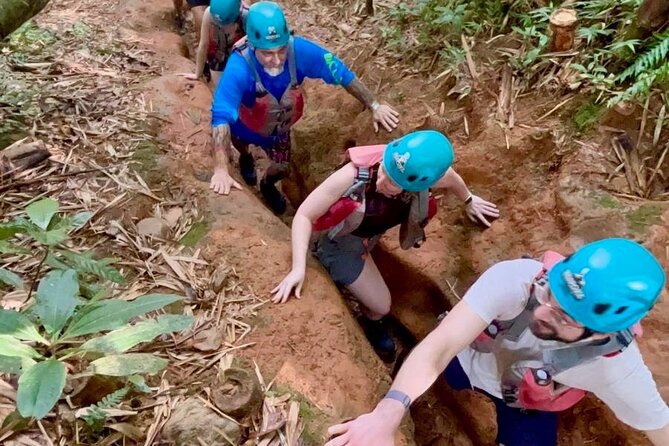 Private Tour of El Yunque Rainforest from San Juan - The gentler El Yunque option