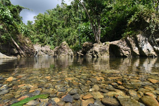 Private Tour of El Yunque Rainforest from San Juan - Who should book this private rainforest day