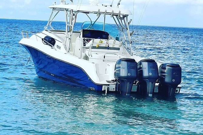 Private Tour to Cayo Icacos and Palomino Island - How the day handles rain and changing conditions