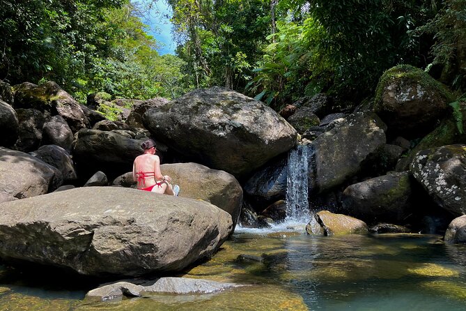 Private Tour to the East Side of Puerto Rico - El Yunque: Forest Trails, River Water, and Views