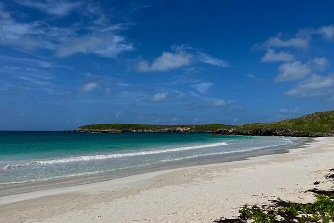 Private Tour to the East Side of Puerto Rico - What the Private Format Adds