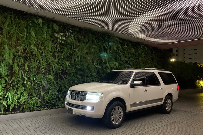 Private Transfer Puerto Rico:To or From Airports, Hotels &Cruises - A calm landing at San Juan International Airport