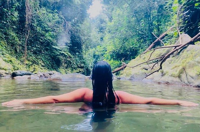 Private Wellness Tour of Puerto Rico Waterfalls and Hot Springs - What the private vehicle adds