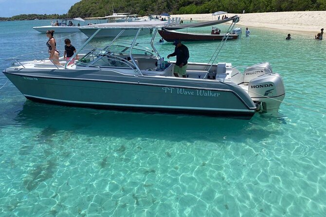 Public or Private Boat Trip to Icacos & Palomino - What this four-hour trip is really like