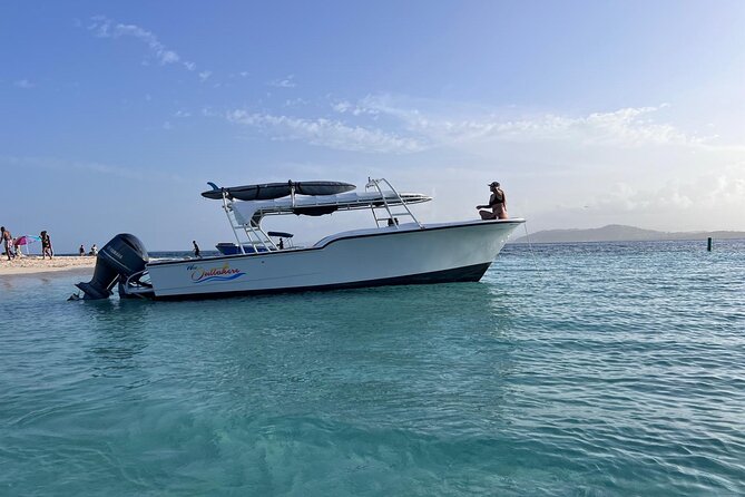 Public or Private Boat Trip to Icacos & Palomino - Palomino Island: the easier celebration choice