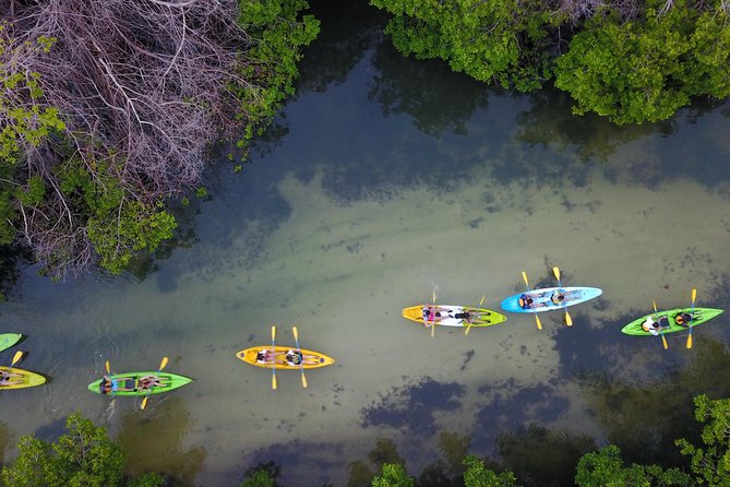 Puerto Rico Bio Bay Kayak Adventure Tour - How hard is the kayaking?