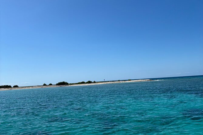 Puerto Rico: Bio Bay Swim and Sunset Charter or Late night tour - Key points to know before booking
