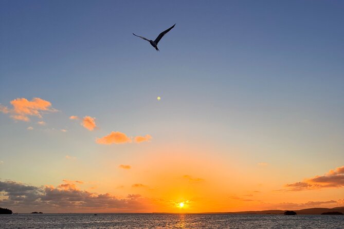 Puerto Rico: Bio Bay Swim and Sunset Charter or Late night tour - The late-night option and what you give up