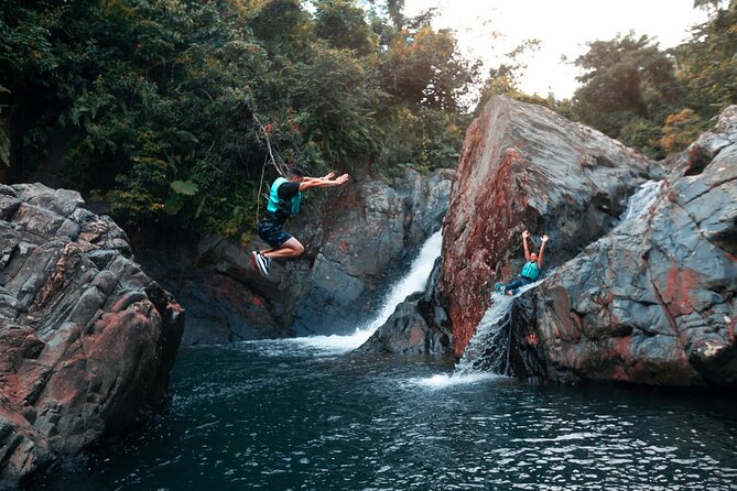 Puerto Rico El Yunque Rainforest with Transportation - El Yunque Rainforest Adventure at a Glance
