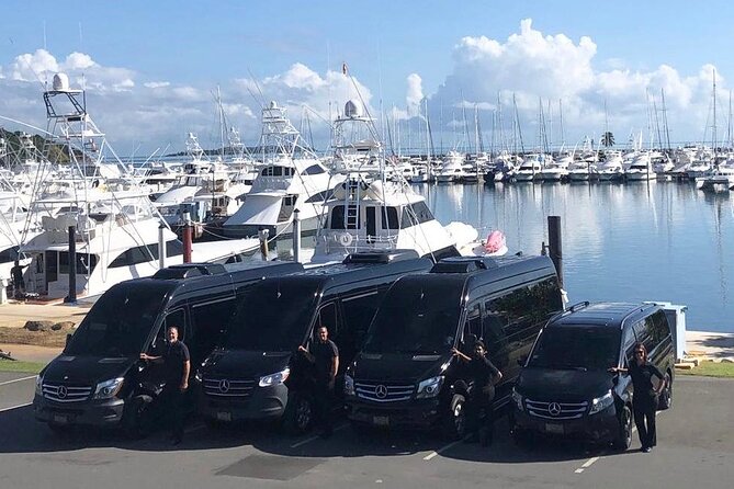 Puerto Rico Island Wide Private Transfers, 11Pax Lux Sprinter Van - Who should book this Puerto Rico transfer