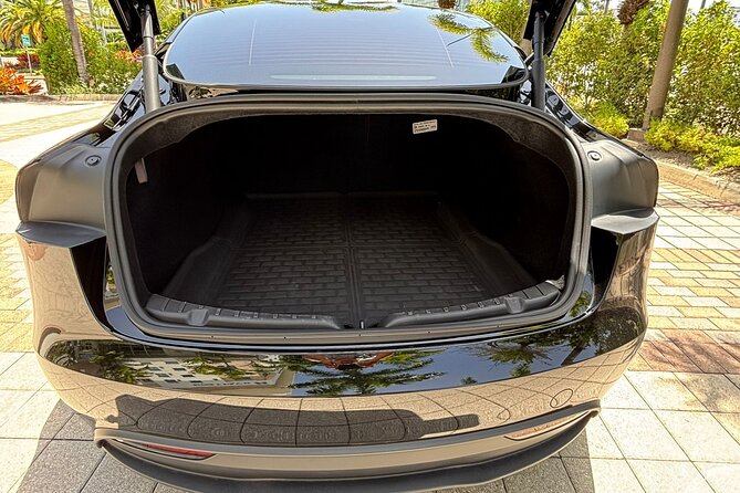 Puerto Rico Island Wide Private Transfers, Tesla 3 Luxury Sedan. - Who should book this transfer?