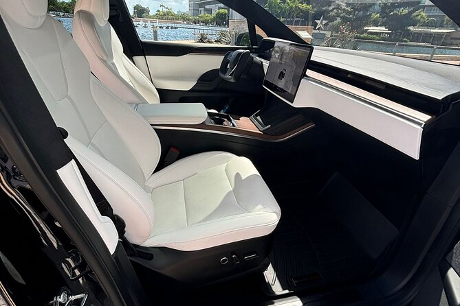 Puerto Rico Island Wide Transfer, Tesla Model X Luxury SUV. - Who should book this transfer