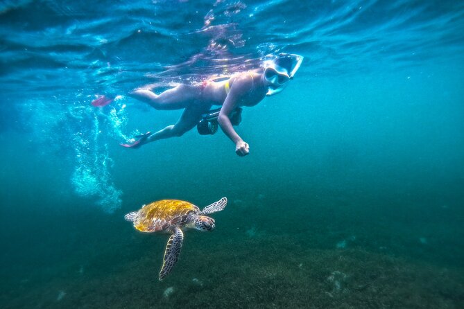 Puerto Rico Jet Snorkel with Turtles and Videos in San Juan - What the jet snorkel actually feels like