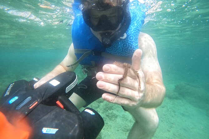 Puerto Rico Jet Snorkel with Turtles and Videos in San Juan - The $99 price and what you receive