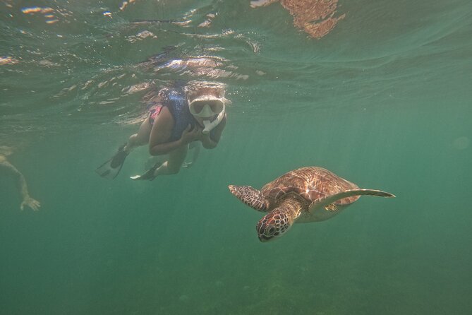 Puerto Rico Jet Snorkel with Turtles and Videos in San Juan - Who will enjoy this most
