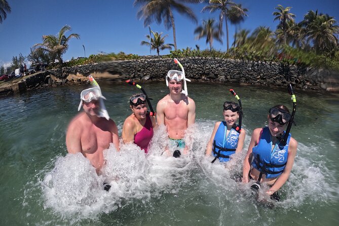 Puerto Rico Jet Snorkel with Turtles and Videos in San Juan - Conditions, seaweed, and guide style