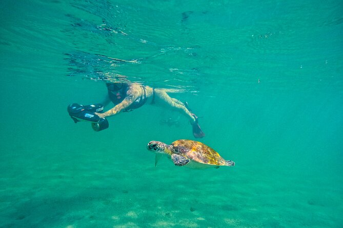 Puerto Rico Jet Snorkel with Turtles and Videos in San Juan - Meeting the guides at Escambron Beach
