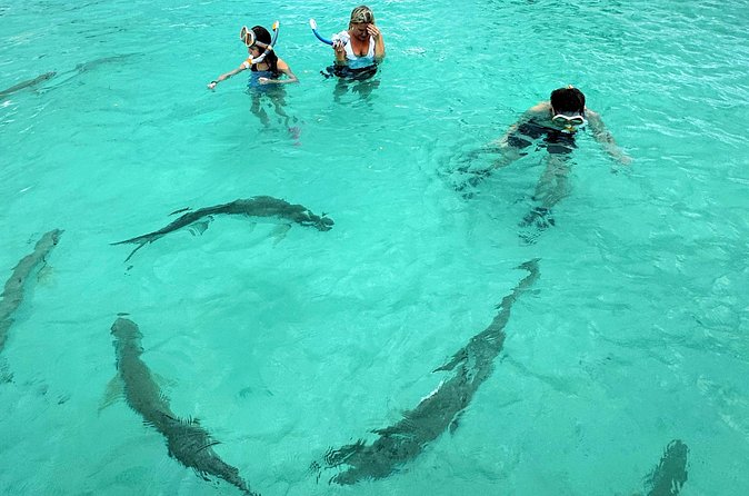 Puerto Rico's Only Private, VIP & Filmed Bio Bay Swim Experience - Papayo Cove after dark