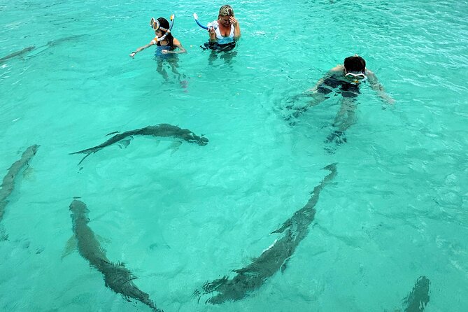 Puerto Rico's Only Private, VIP & Filmed Bio Bay Swim Experience - Who will get the most from this day?