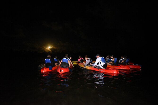 Puerto Rico Sunset Magic: Bio Bay Kayaking Tour from Fajardo - Why Laguna Grande is worth your evening