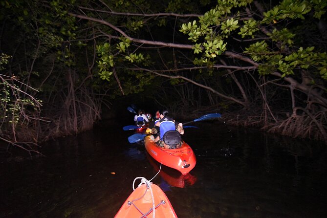 Puerto Rico Sunset Magic: Bio Bay Kayaking Tour from Fajardo - Reaching the glowing lagoon
