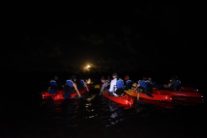 Puerto Rico Sunset Magic: Bio Bay Kayaking Tour from Fajardo - The guide makes the difference