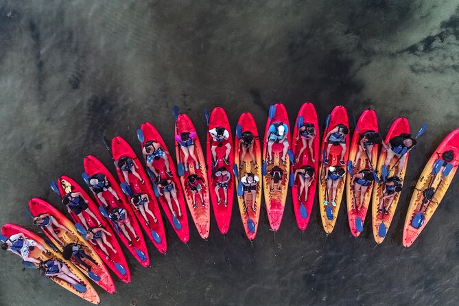Puerto Rico Sunset Magic: Bio Bay Kayaking Tour from Fajardo - Choosing the right departure time