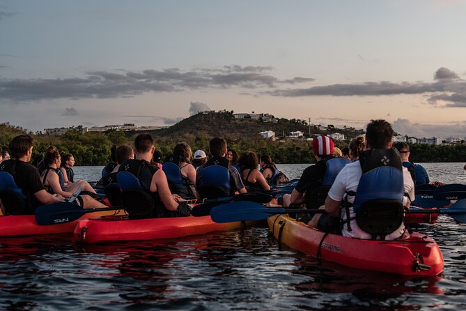 Puerto Rico Sunset Magic: Bio Bay Kayaking Tour from Fajardo - Paddling through the mangrove canal