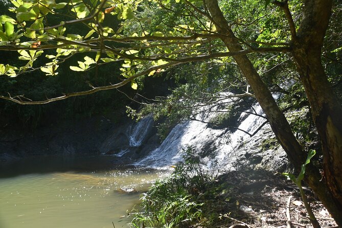 Puerto Rico Waterfall Hiking Tour: Discover Hidden Gems 2.0 - A mountain waterfall reached by effort, not by shortcut