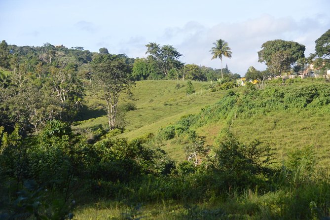 Puerto Rico Waterfall Hiking Tour: Discover Hidden Gems 2.0 - The 40 to 60-minute trail is the real test