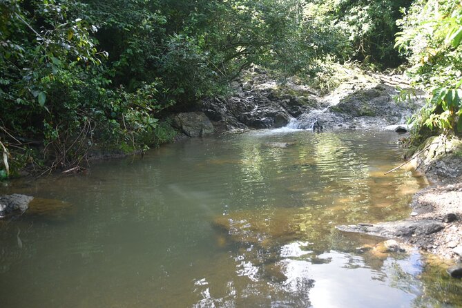 Puerto Rico Waterfall Hiking Tour: Discover Hidden Gems 2.0 - Who should book this waterfall tour?