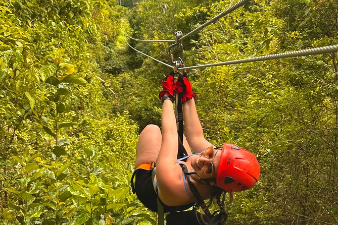 Puerto Rico Ziplining: High-Flying Adventure close to San Juan - Five canopy bridges above the trees